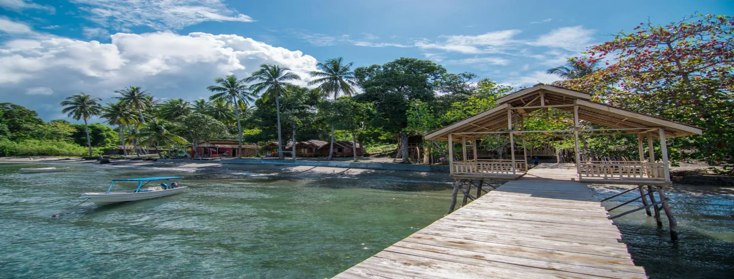 Image for Pristine Paradise